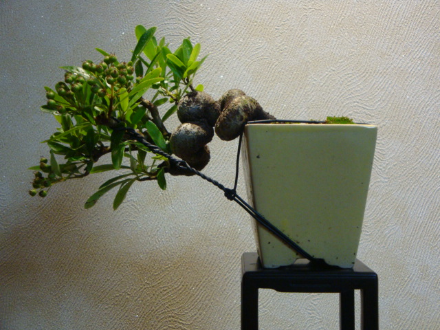 DSC03994.JPG