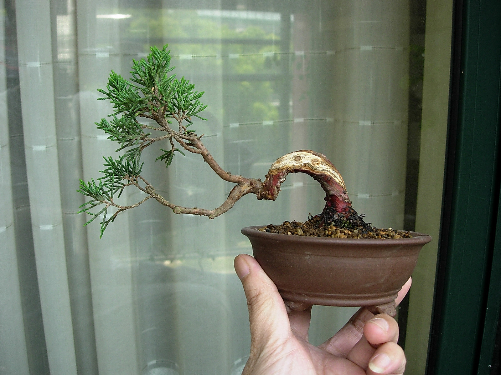 DSCN9865.JPG