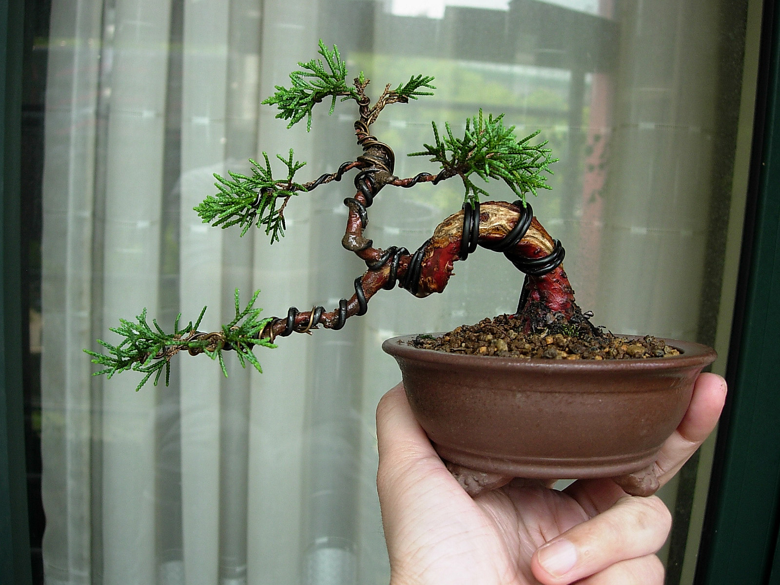 DSCN9870.JPG