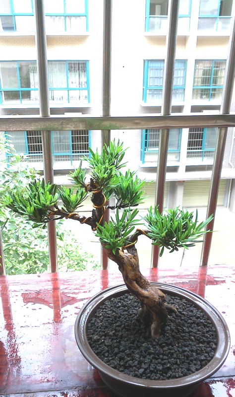 IMG0606160401.jpg