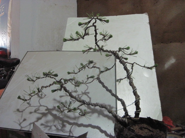 0608 002.jpg