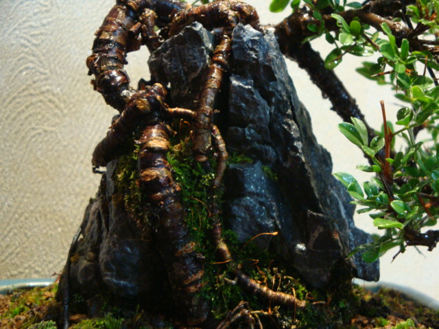 DSC04022.JPG