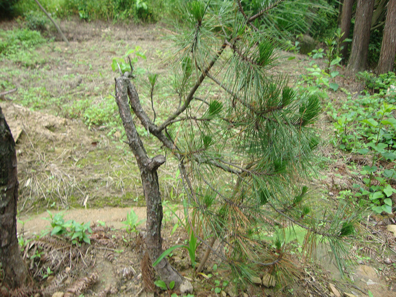 DSC01097_.jpg