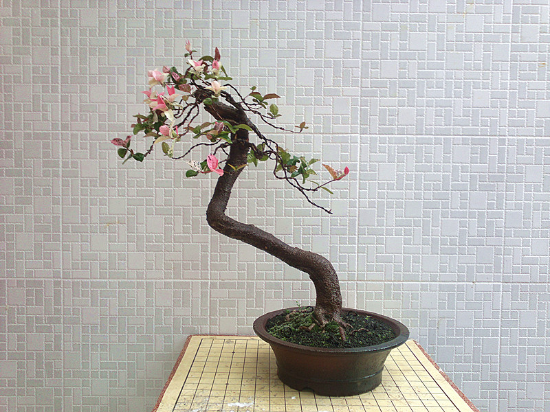 20130611193_.jpg