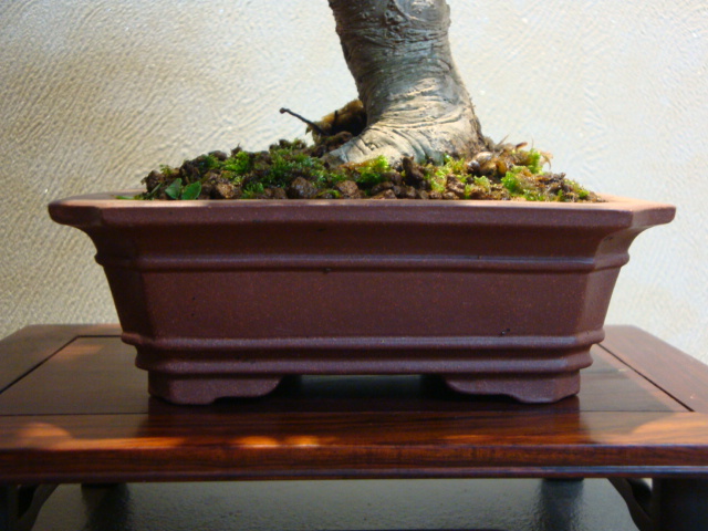 DSC04112.JPG