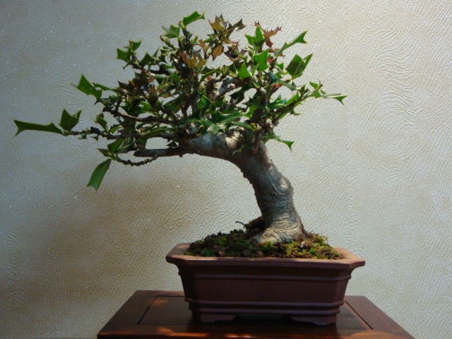 DSC04109.JPG