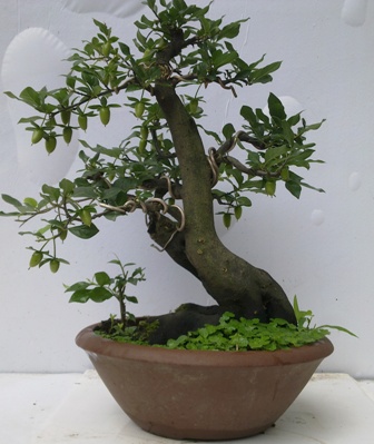 20130610308.jpg