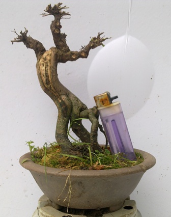 20130611340.jpg