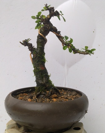 20130611342.jpg