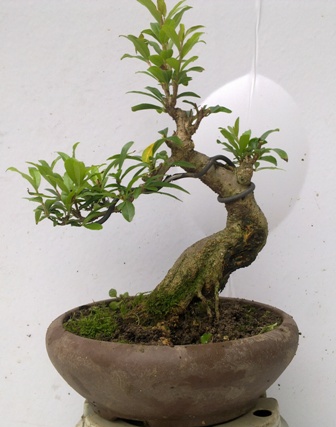 20130611343.jpg
