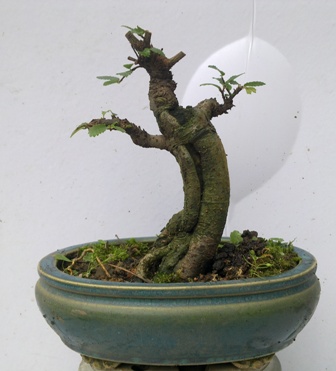 20130611344.jpg