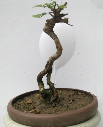 20130611348.jpg
