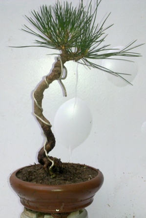 20130611353.jpg