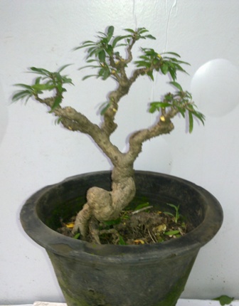 20130611349.jpg