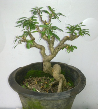 20130611350.jpg
