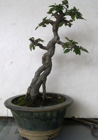 20130612357.jpg