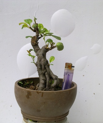 20130613365.jpg