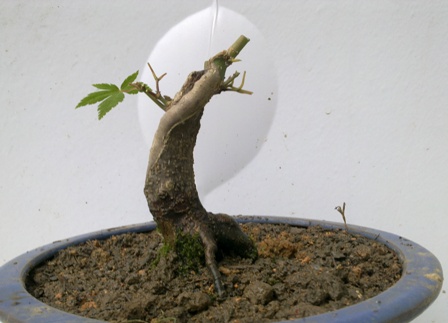 20130613367.jpg