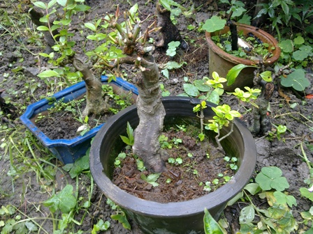 20130614372.jpg
