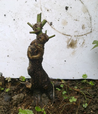 20130614373.jpg
