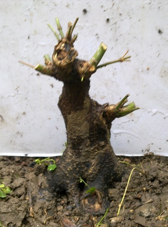 20130614374.jpg