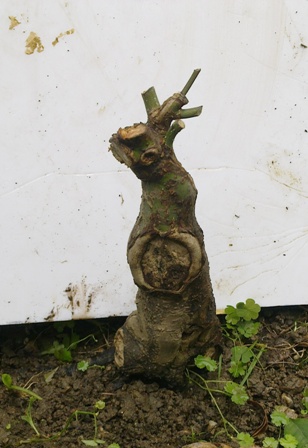 20130614377.jpg