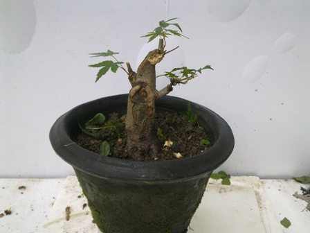 20130614378.jpg