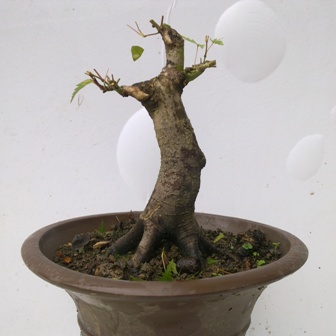 20130614382.jpg