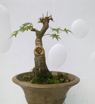 20130614384.jpg