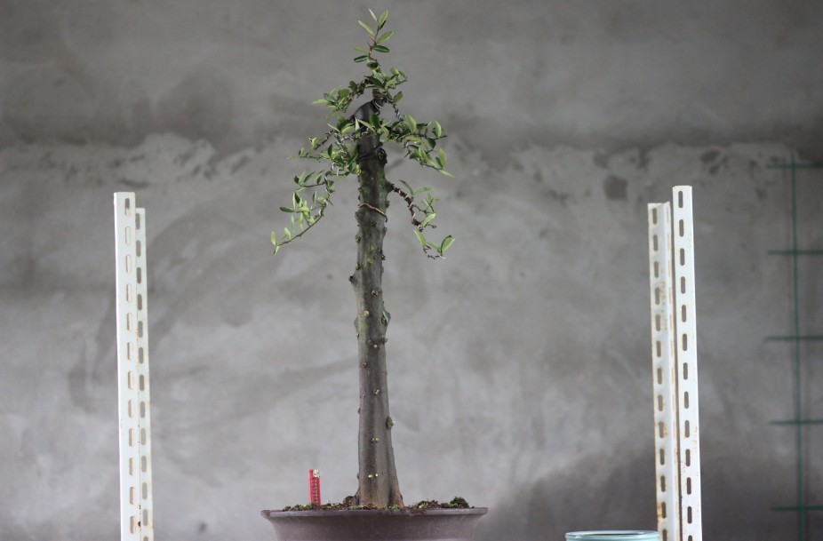 QQͼƬ20130614145144.jpg