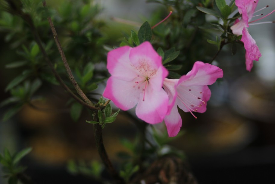 QQͼƬ20130615111821.jpg