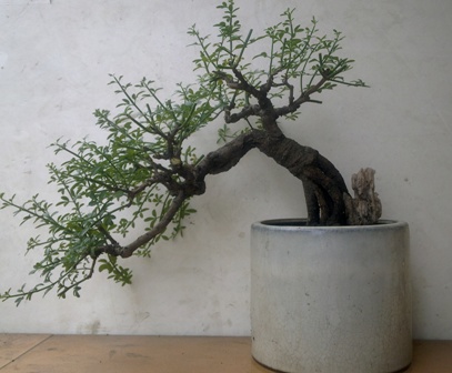 20130615392.jpg