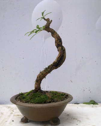20130616434.jpg