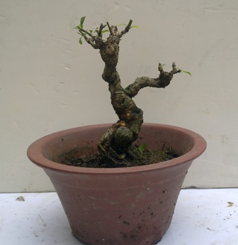 20130616401.jpg