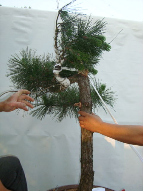 DSC07390_ͼ.jpg