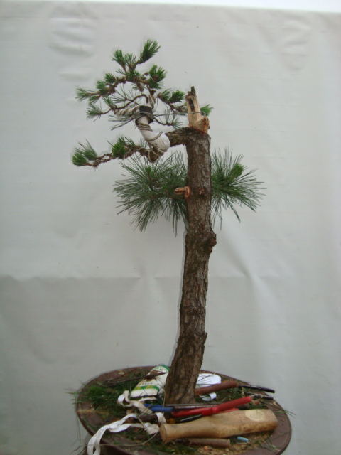 DSC07394_ͼ.jpg