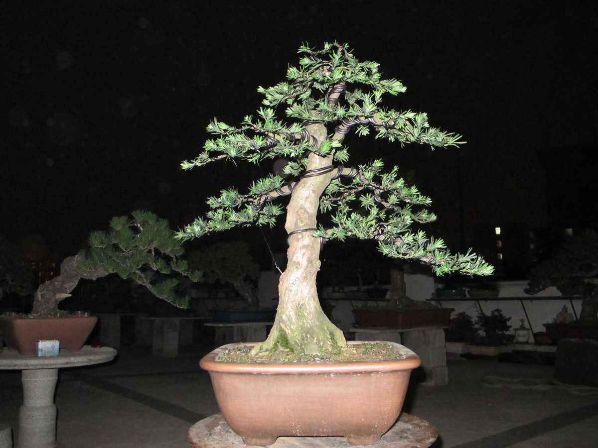 ȸ޺1.jpg