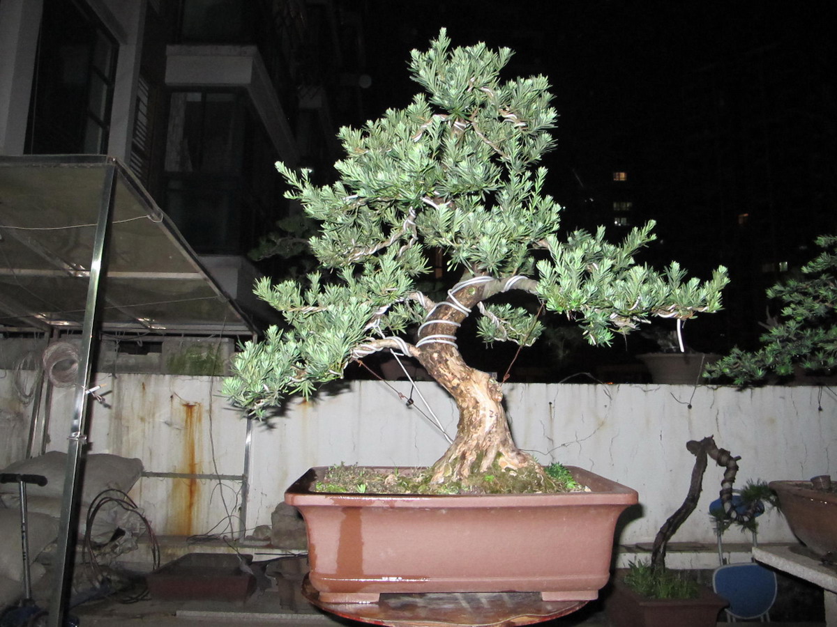 ȸ޺1.jpg
