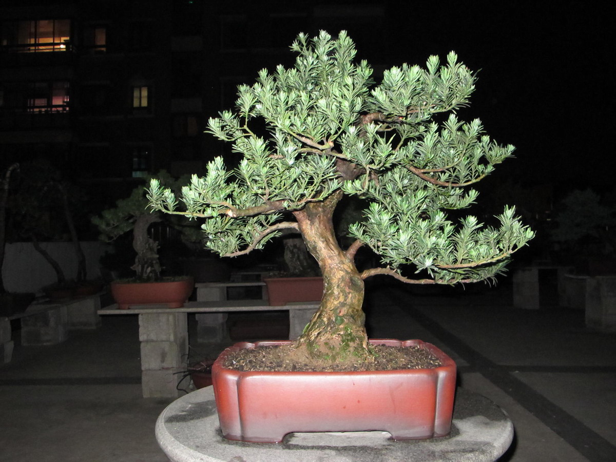 ȸ޺2.jpg