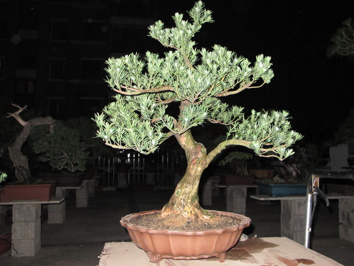 ȸ޺4.jpg