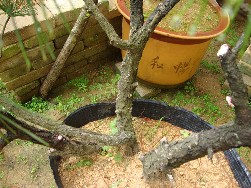 DSC01156_.jpg