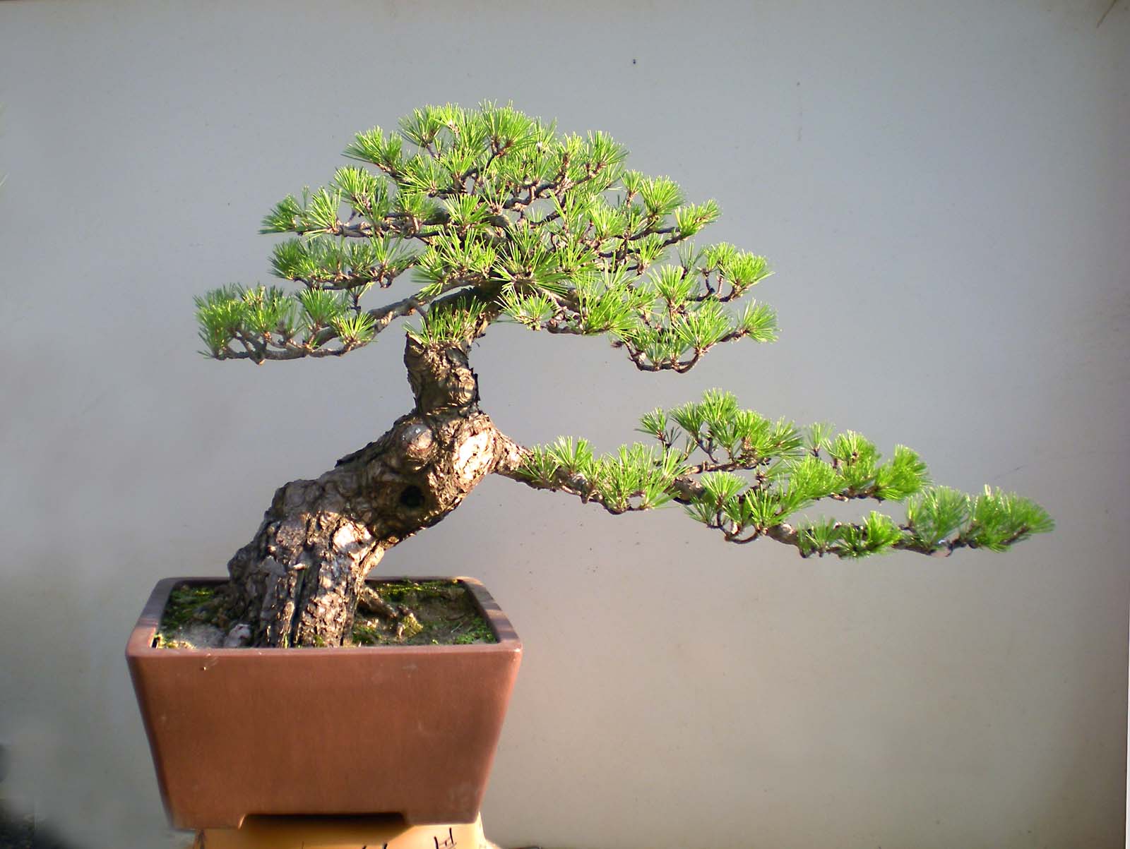 DSCN4181 .jpg