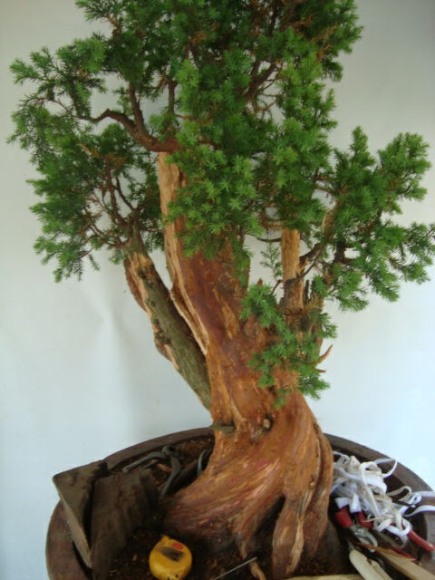 DSC07403_ͼ.jpg