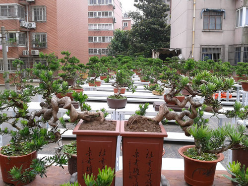 2013-06-15 14.16.57.jpg