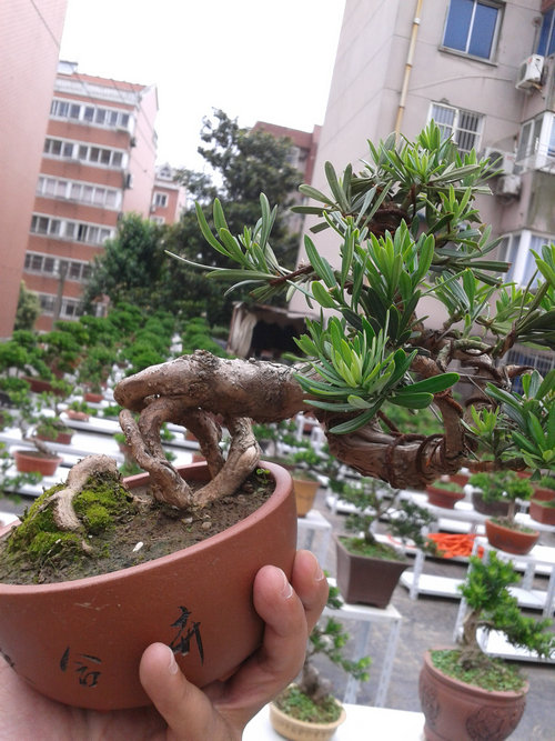 2013-06-15 15.57.48.jpg
