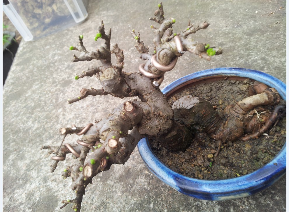 130618.jpg