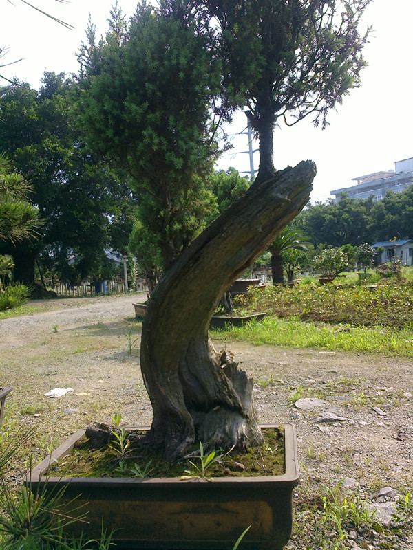 2013-06-17-2391_.jpg