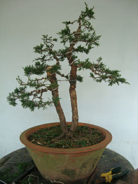 DSC07415_ͼ.jpg