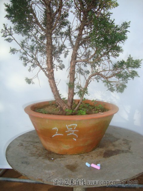 095210ir3bm7238usmf3um.jpg