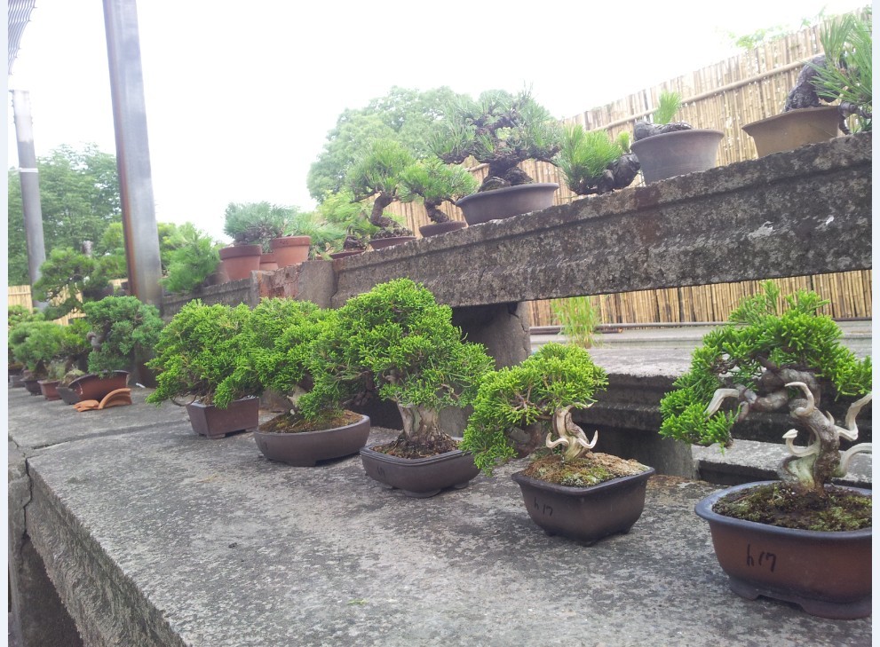 XLY130620.jpg